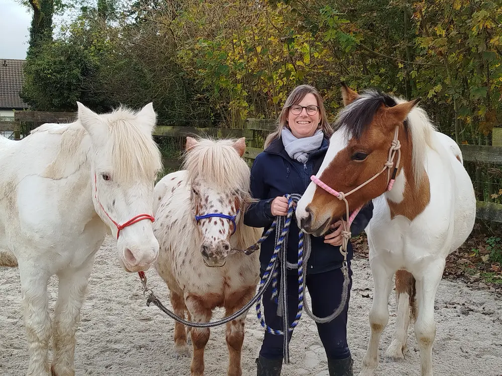 équipe chevaux